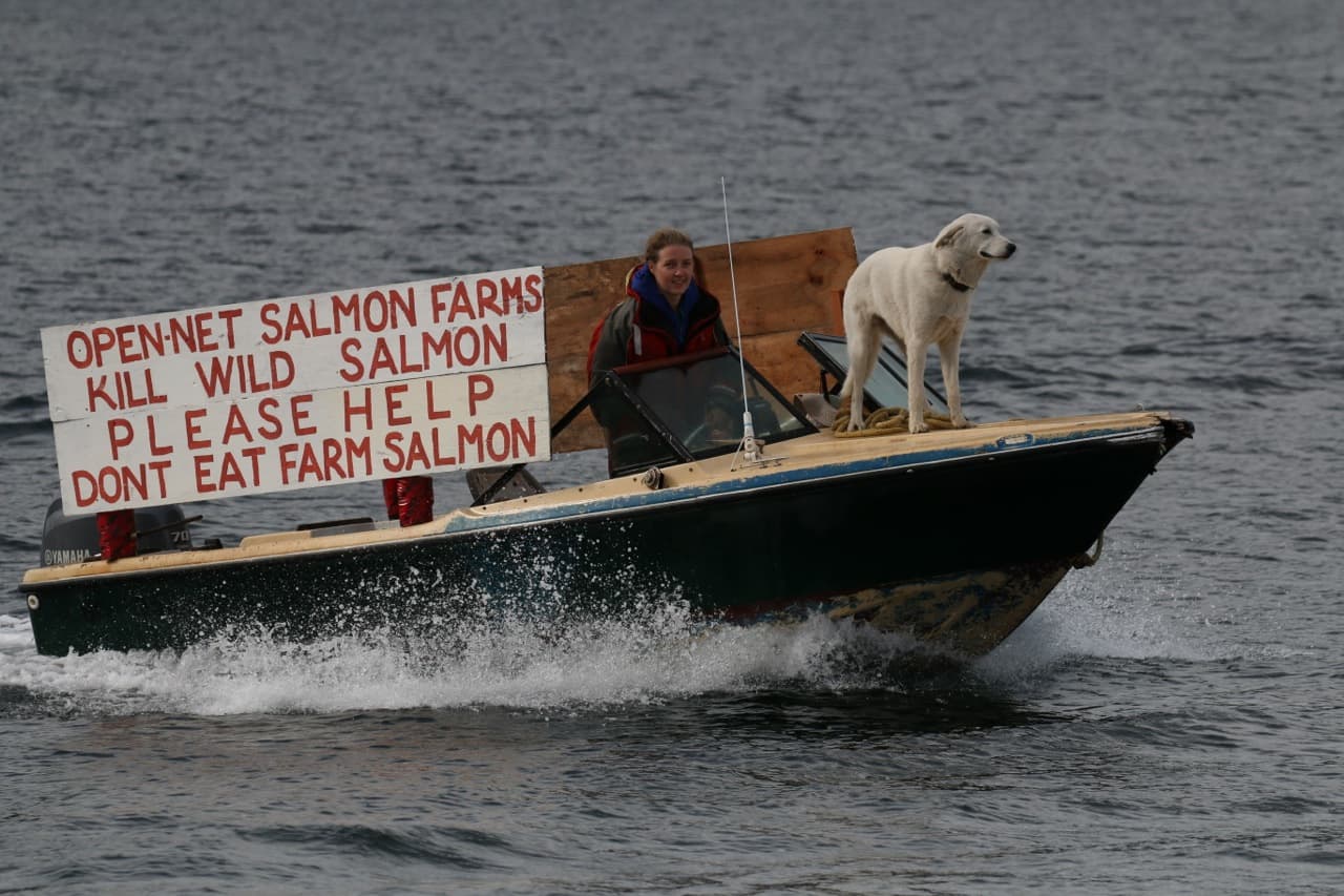 Welcome smiles for Alexandra and the Sea Shepherd as they travel north.