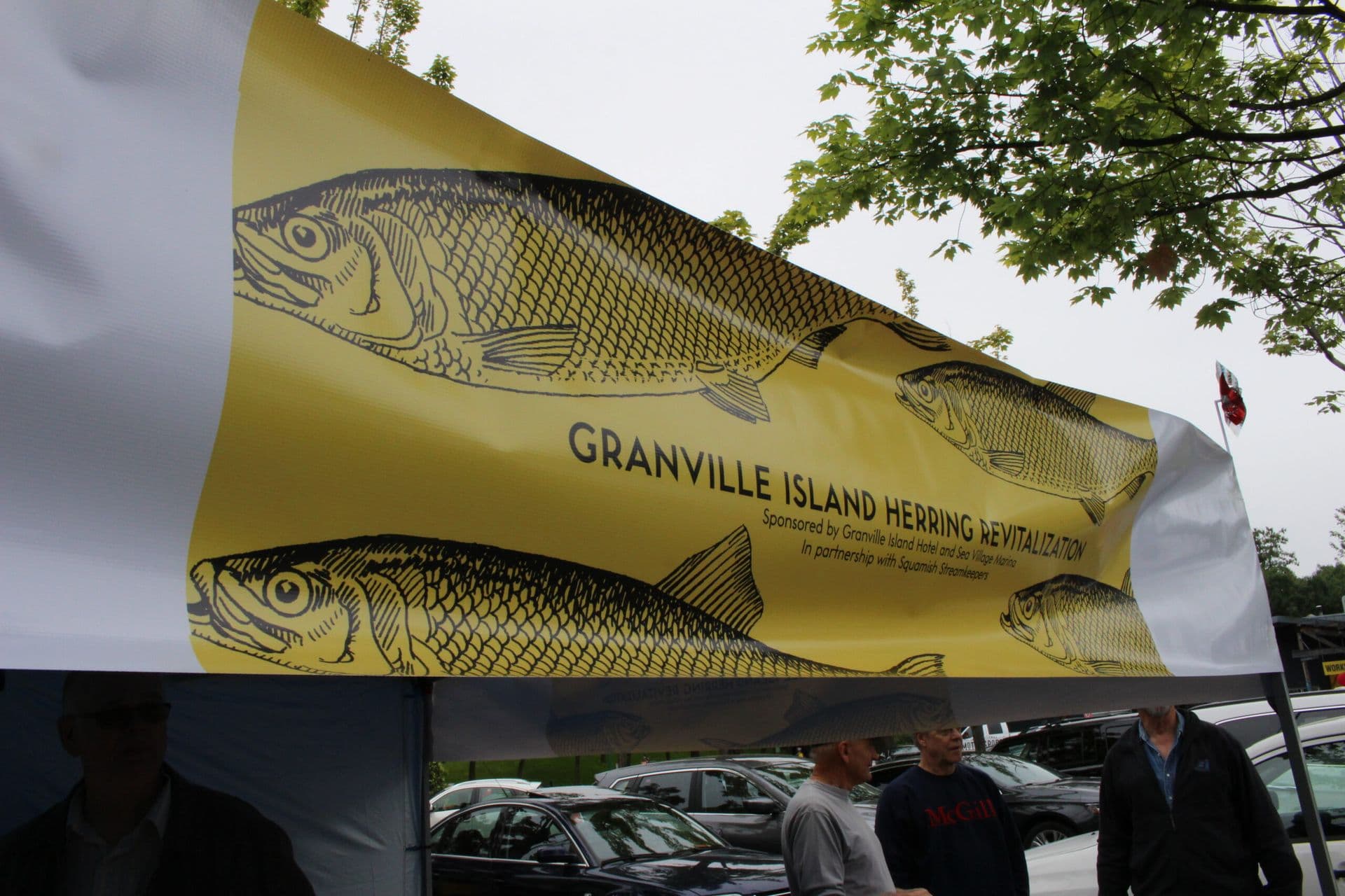 Herring Recovery Showcase on Canada Day at Granville Island