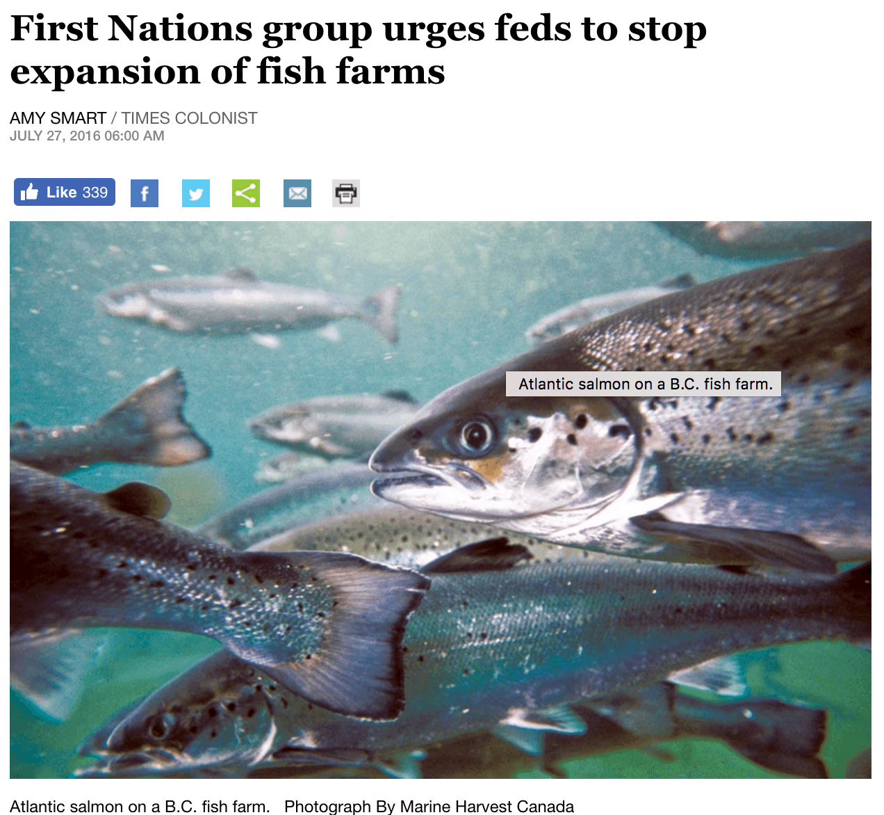 First Nations using their voice to urge feds to stop fish farm expansion
