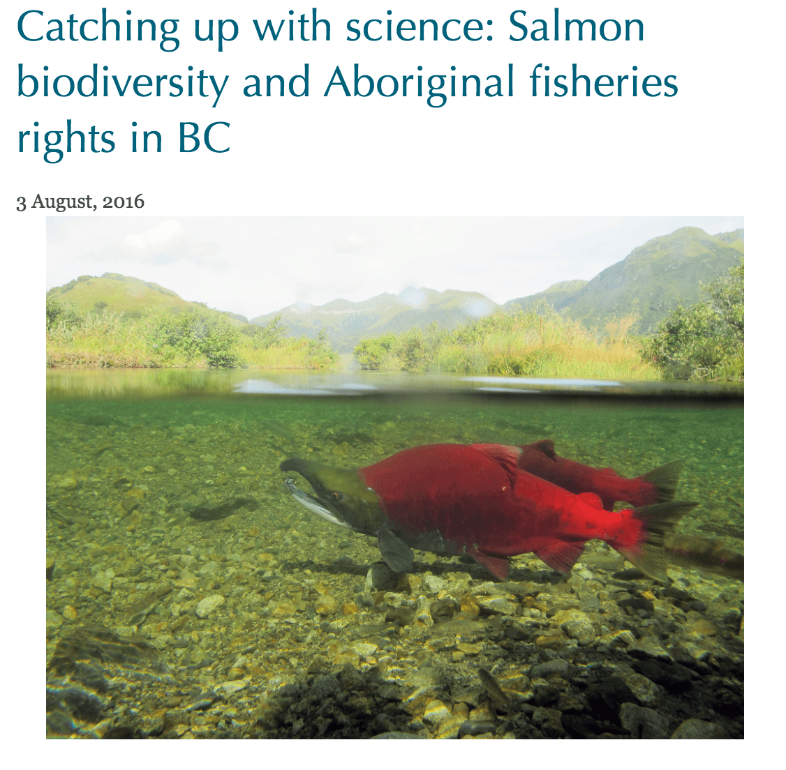 Catching up with science: Salmon biodiversity and Aboriginal fisheries rights in BC
