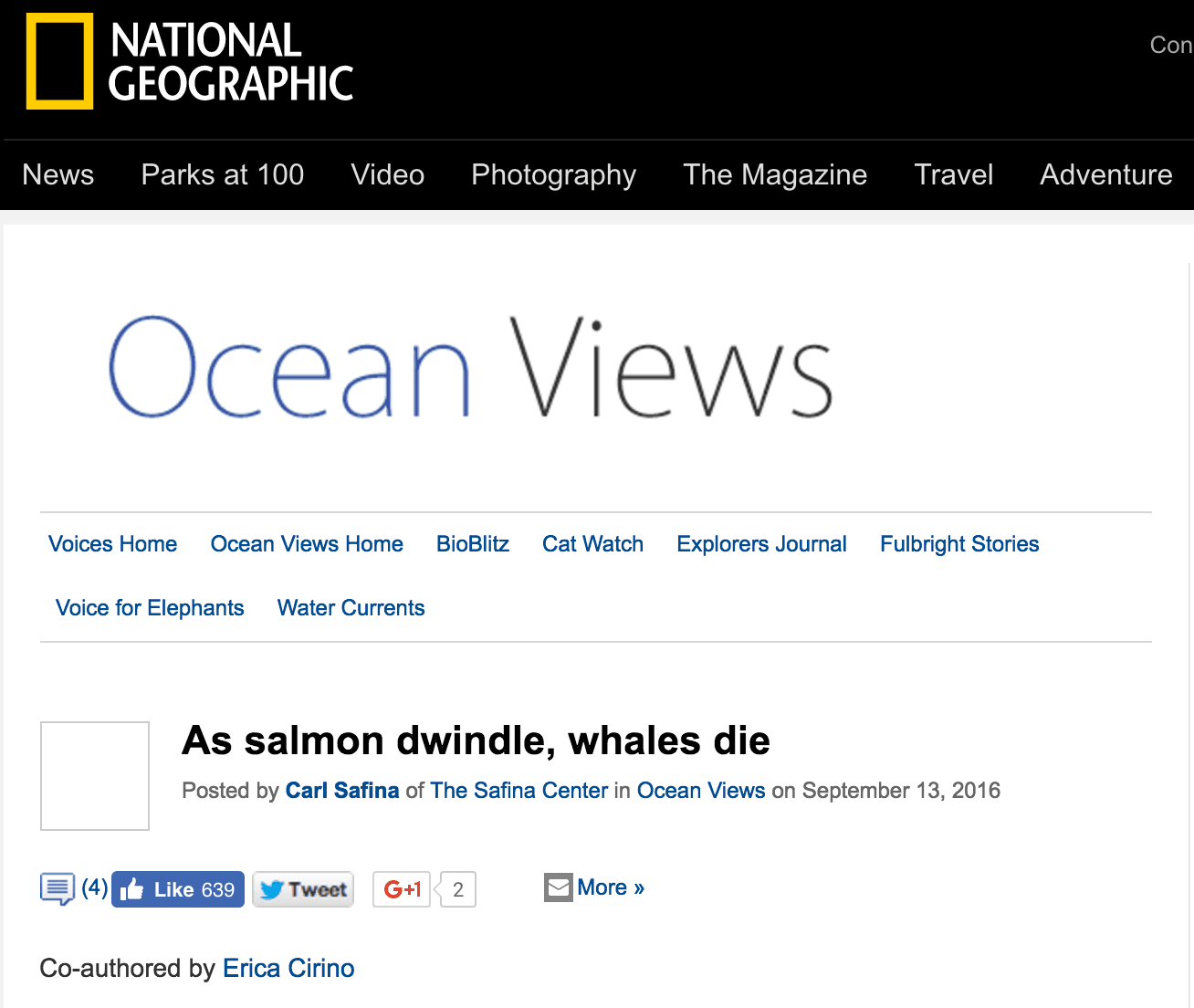 There be no whales here….
