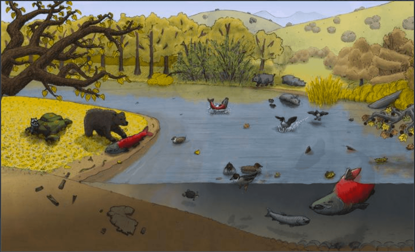 Ancient 400-Pound Salmon Fought with Dagger-Like Teeth