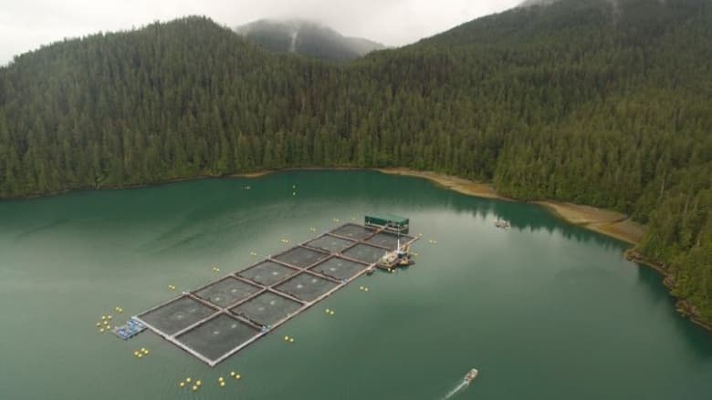 CBC In Depth Article puts the pressure on!